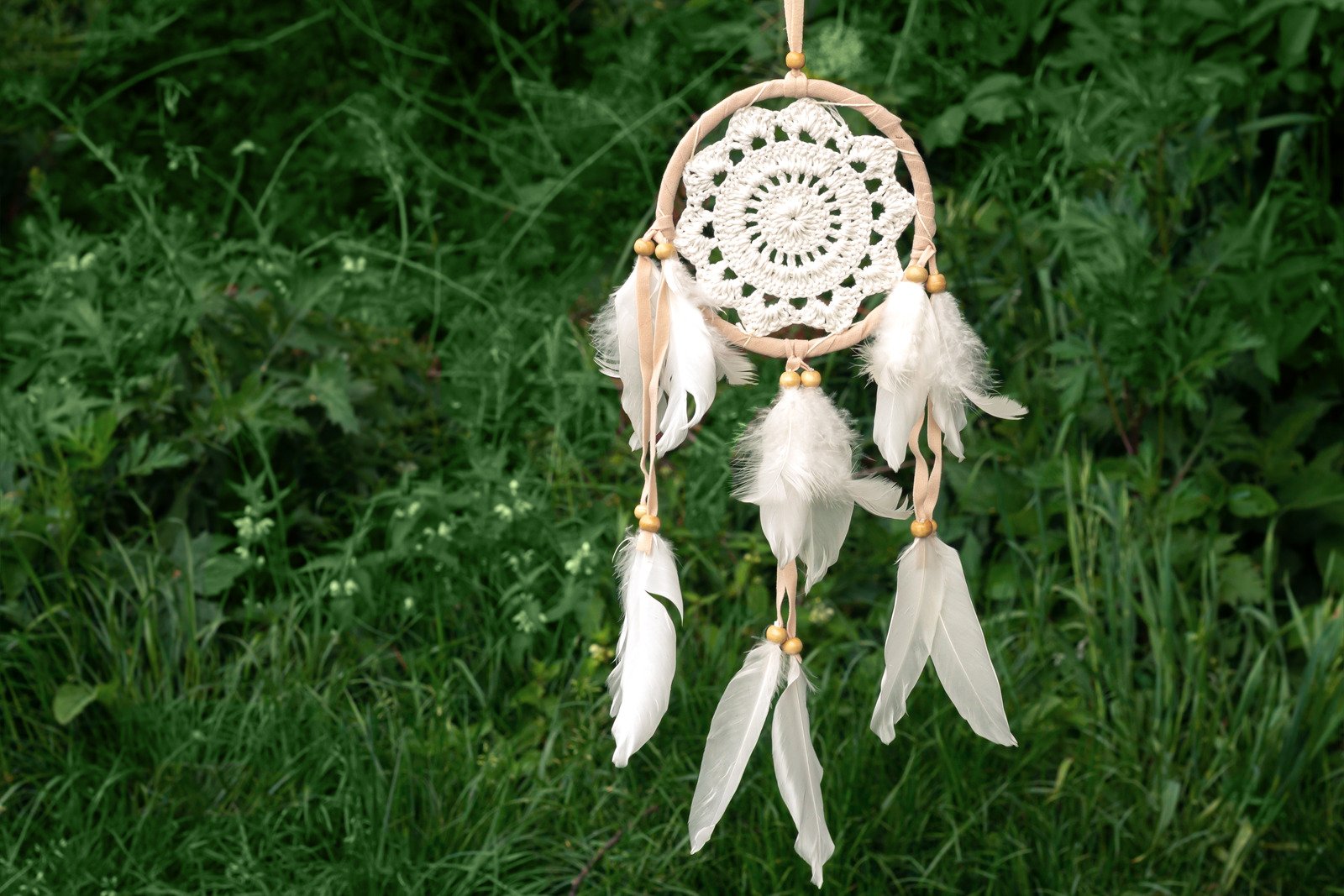 Plumes Pour Attrapes Reves