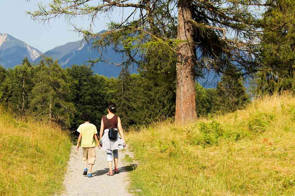 Deux randonneurs sur un sentier herbeux avec montagnes boisées en arrière-plan Deux randonneurs sur un sentier herbeux avec montagnes boisées en arrière-plan