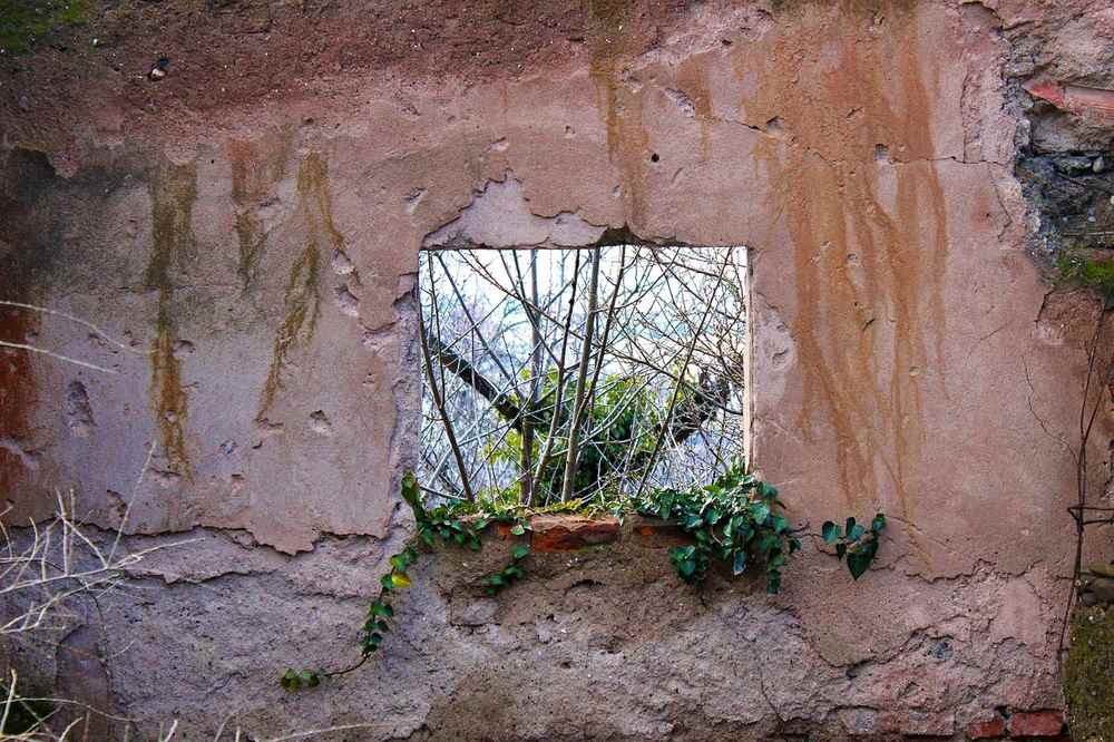 Pan de mur peint en teinte douce derrière un bureau