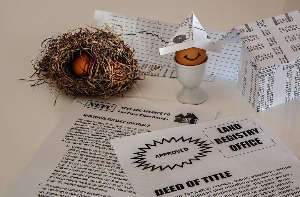 Œuf en carton souriant, nid avec œuf, documents officiels sur bureau