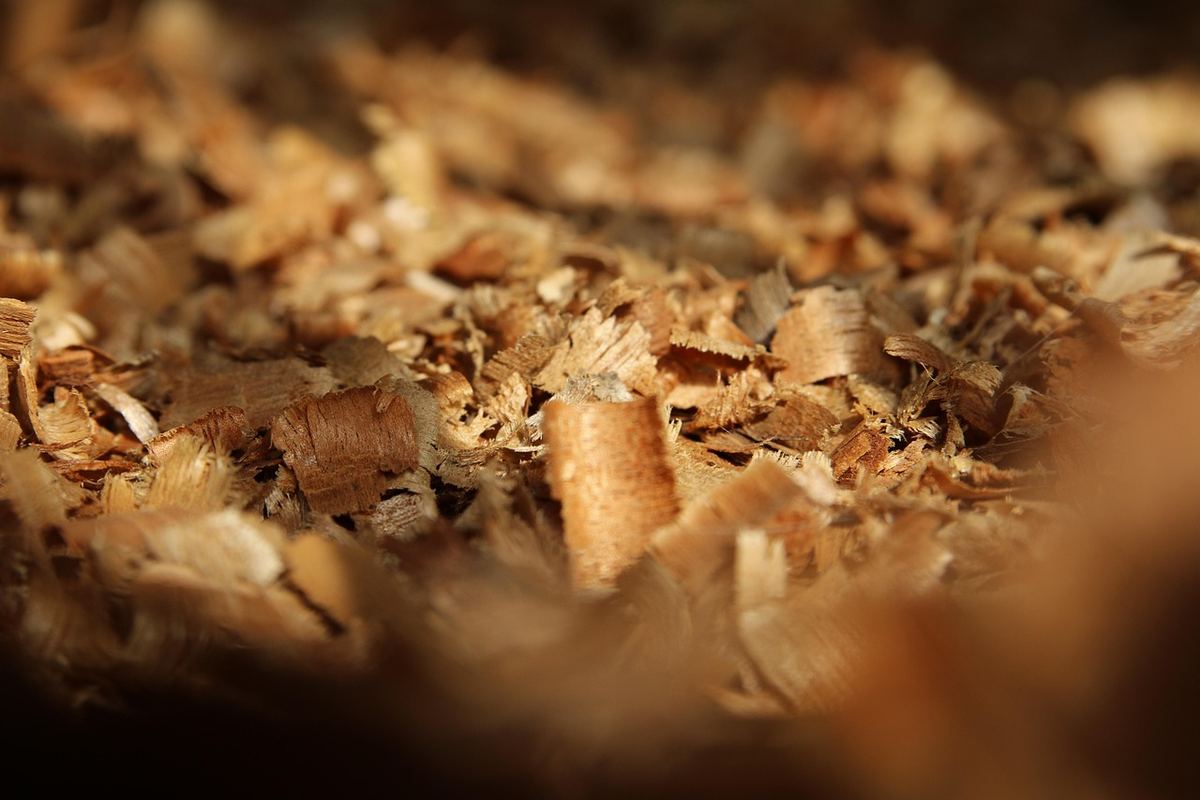 Planches de bois recyclé préparées pour le plateau d'une table basse