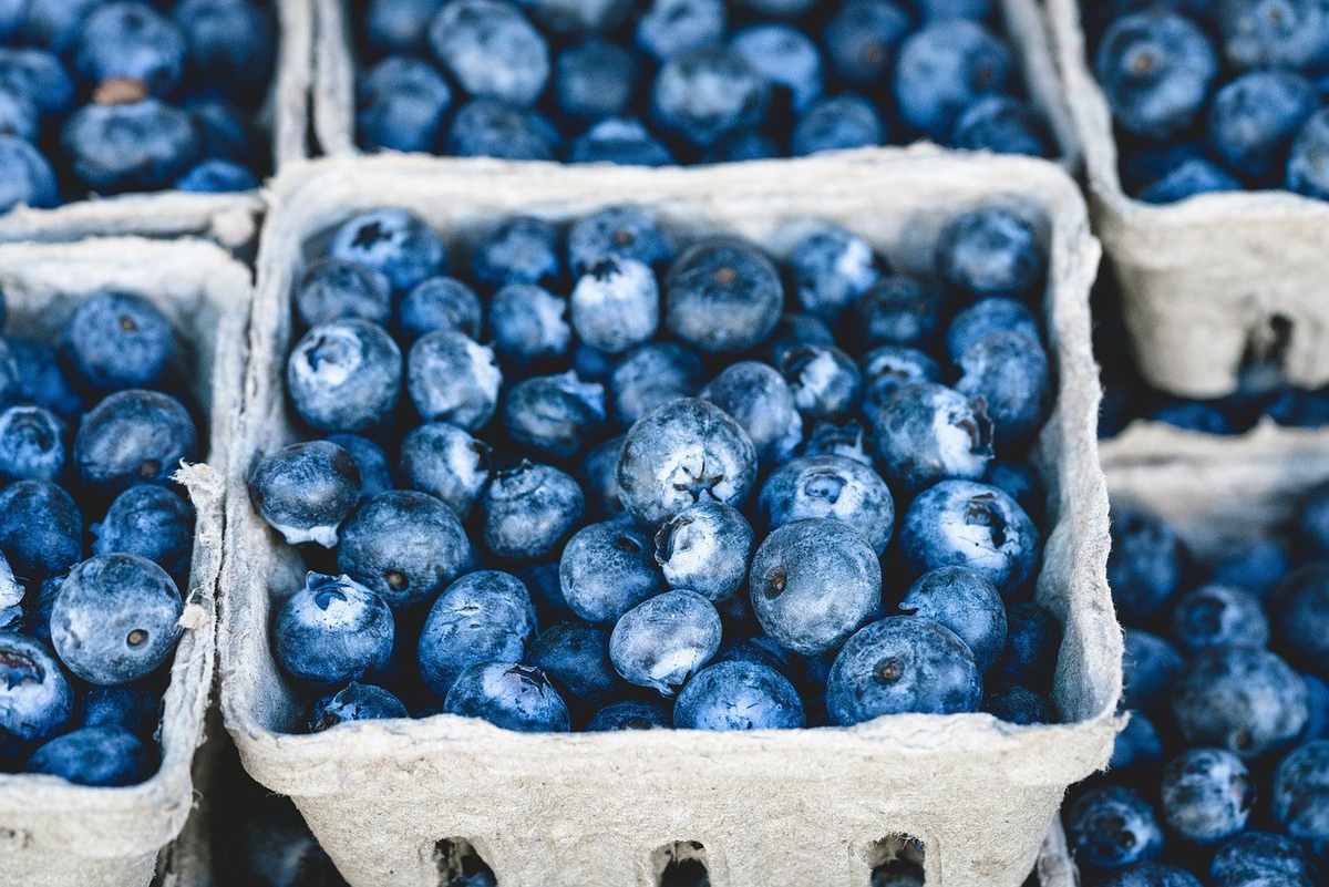 Paniers en carton remplis de myrtilles bleues