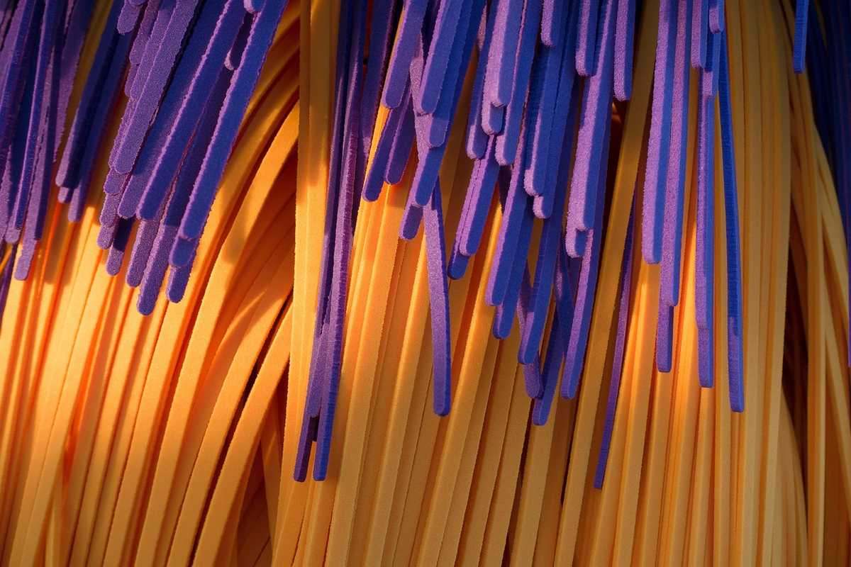 Un réfrigérateur ouvert montrant des herbes emballées dans du film alimentaire et du papier absorbant Un réfrigérateur ouvert montrant des herbes emballées dans du film alimentaire et du papier absorbant