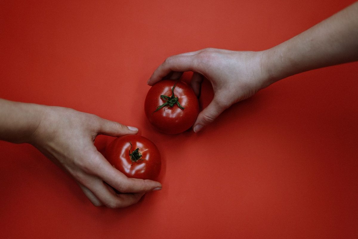 Mains tenant des tomates sur fond orangé