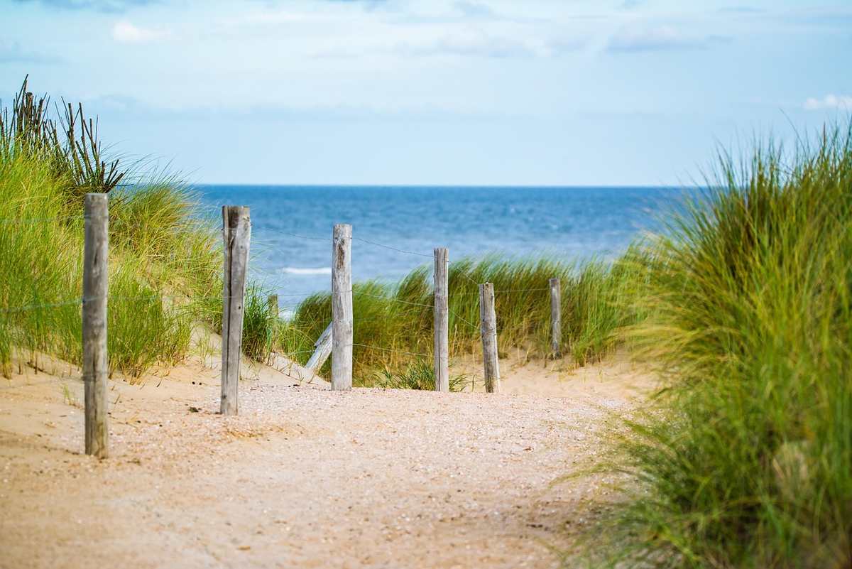 Chemin menant à la plage depuis un camping Chemin menant à la plage depuis un camping
