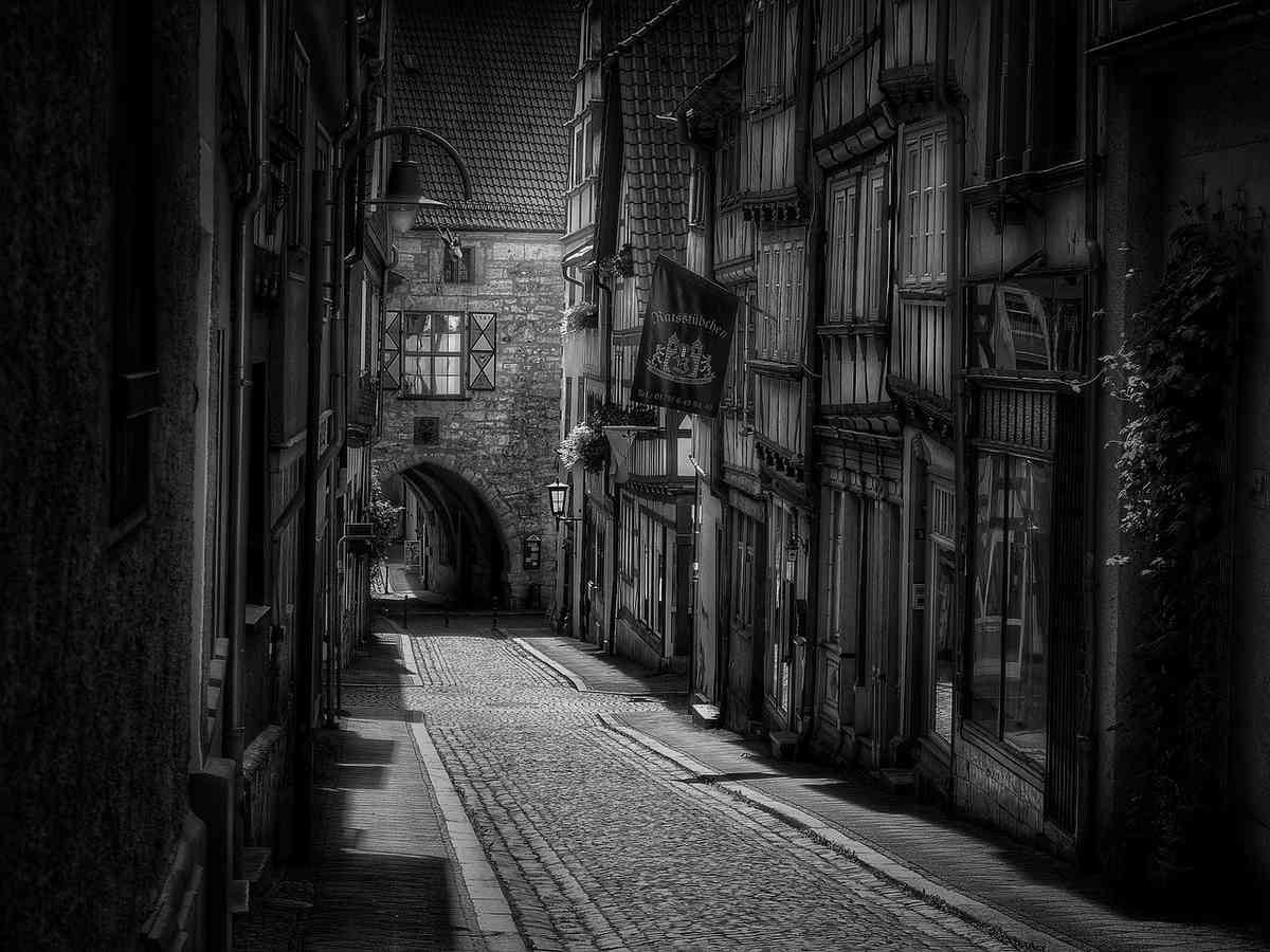 Ruelle pavée dans un village de Lozère