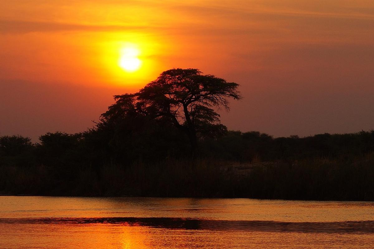 Mokoro naviguant sur un canal du delta de l'Okavango