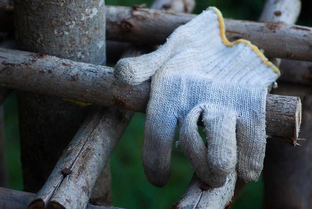 des outils de jardinage posés près d'une haie taillée des outils de jardinage posés près d'une haie taillée