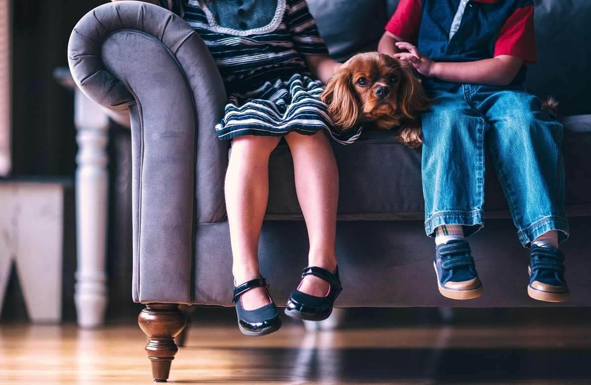 Enfants et chien sur un canapé dans un salon Enfants et chien sur un canapé dans un salon