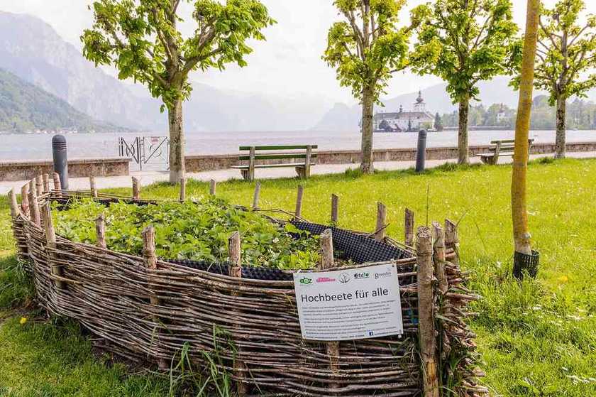 Potager surélevé : bien préparer la première récolte de printemps Potager surélevé : bien préparer la première récolte de printemps